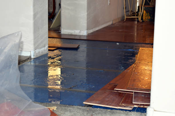 Professional Basement Flood Cleanup technician working in Winchester, CA